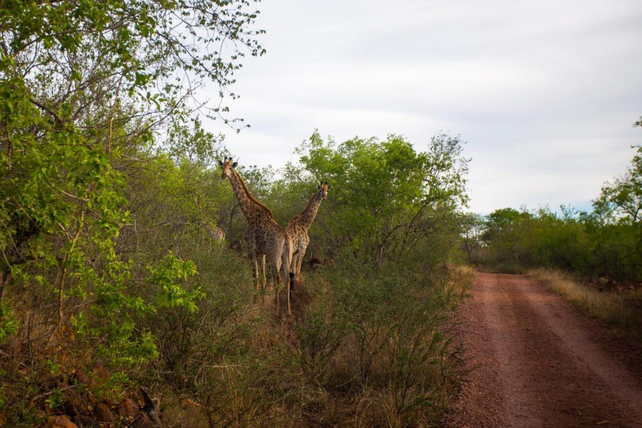 Nungu Game Lodge Lephalale Kültér fotó